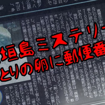 【驚愕】にわとりの卵に郵便番号が！【石垣島ミステリー】