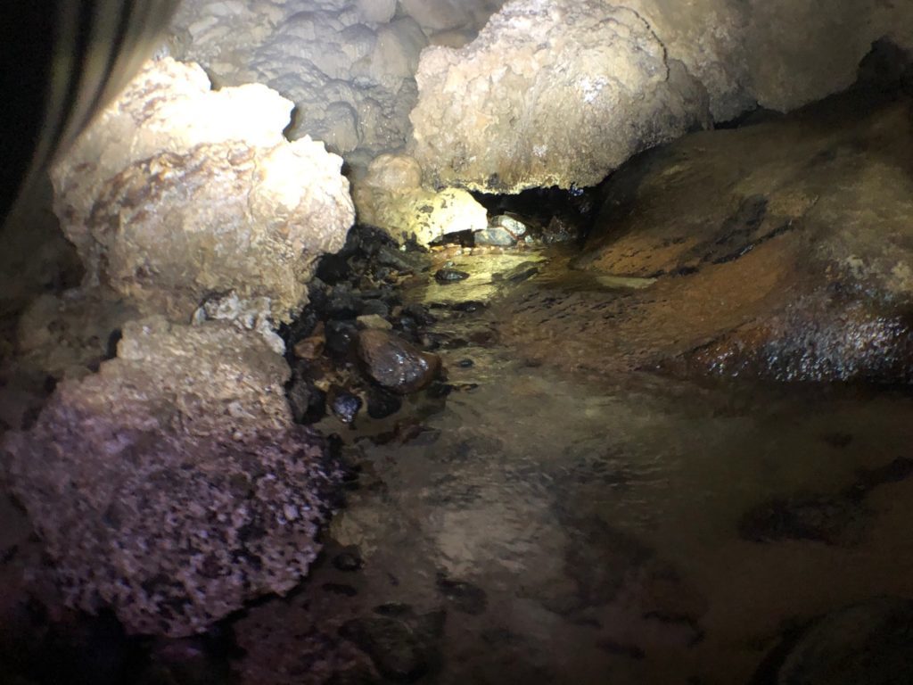 石垣島　洞窟探検