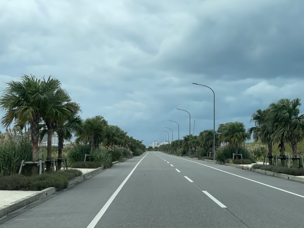 ヤシの木が並ぶ石垣島の広い道路