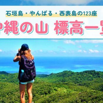 沖縄の山 標高一覧（石垣島の山頂から海を見渡す登山者）